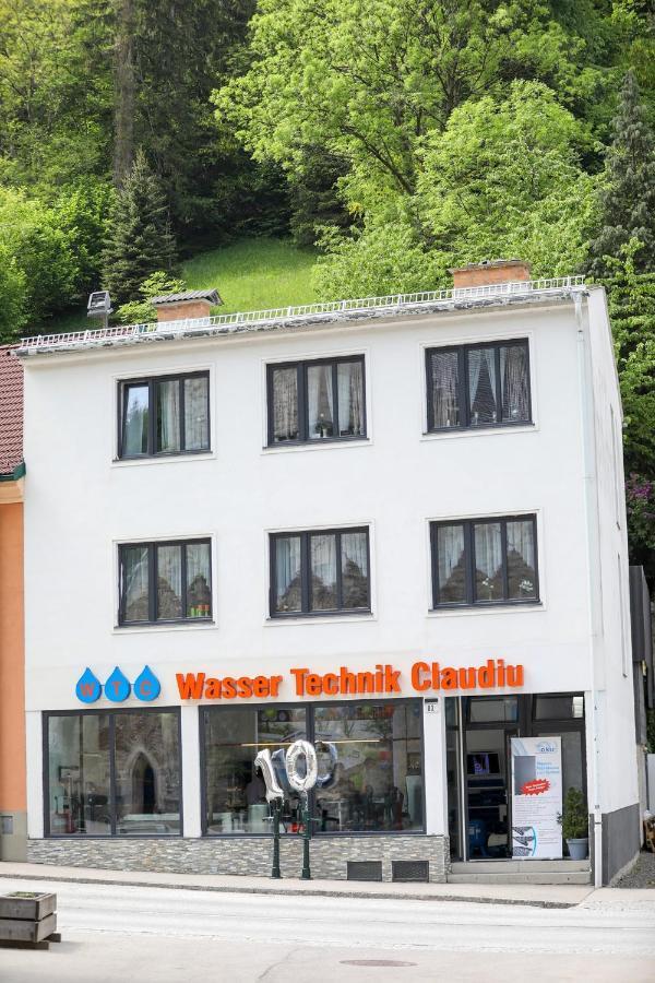 Deea Apartment Schottwien ภายนอก รูปภาพ